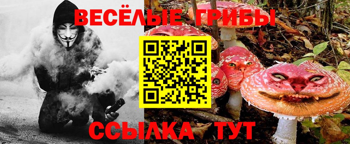 Абинск  Галлюциногенные грибы ЛСД  Вход с VPN 